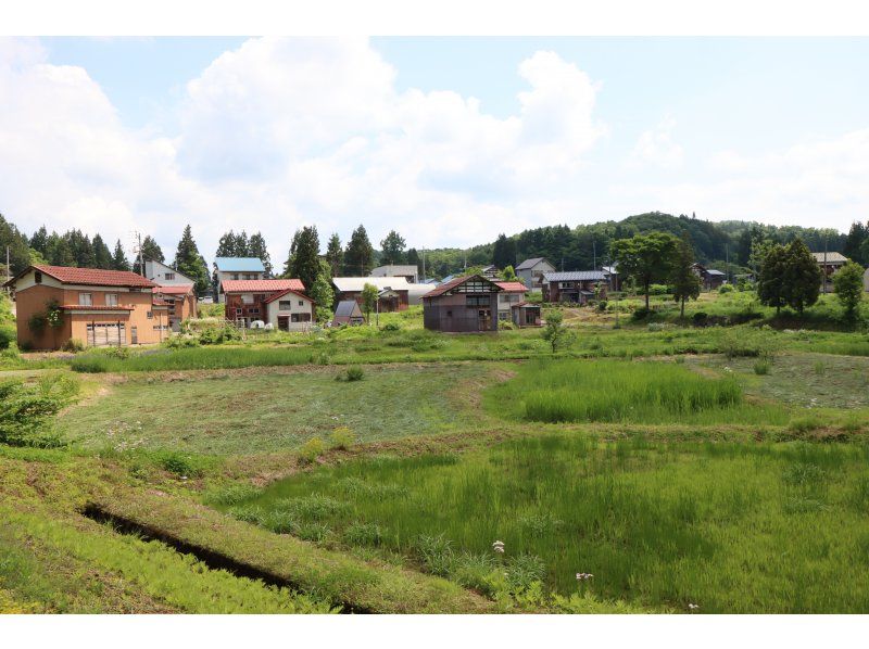 十日町里山ウォーキング　儀明・蒲生の棚田コースの紹介画像