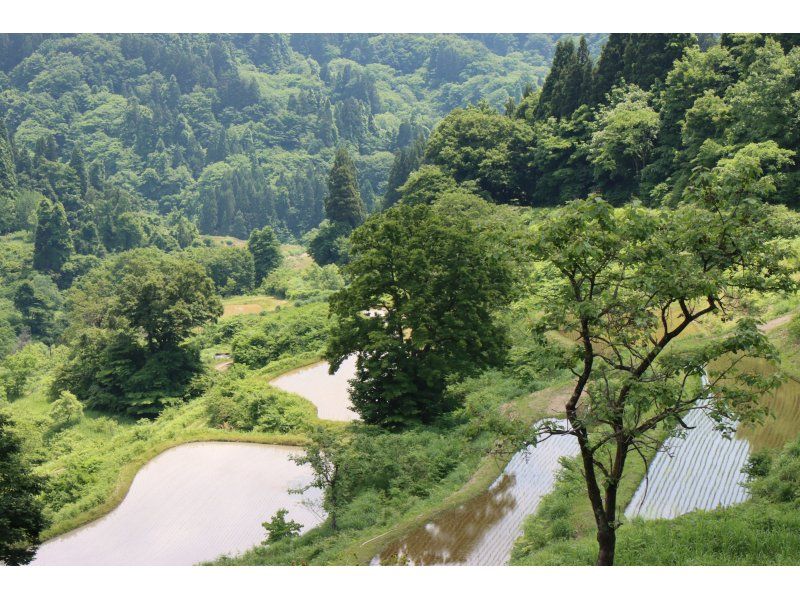 十日町里山ウォーキング　儀明・蒲生の棚田コースの紹介画像
