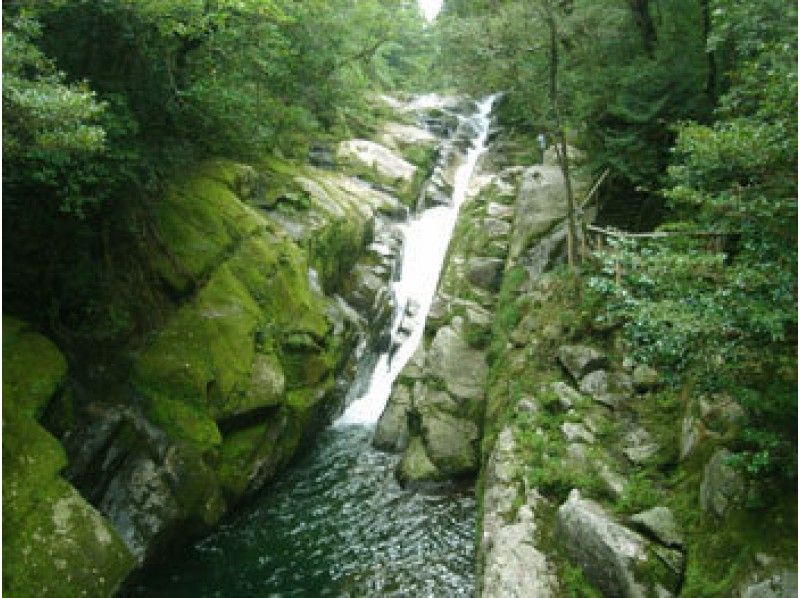 鹿児島 屋久島 屋久島の半分をみる ガイドと相談しながら屋久島ツアー半周トレッキング アクティビティジャパン