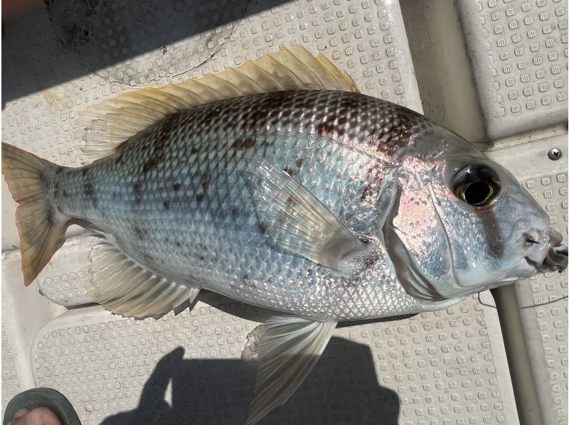 【沖縄・石垣島】半日船釣りコースの紹介画像