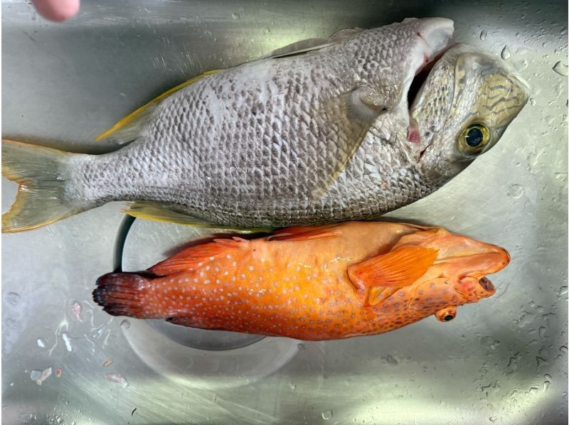 【沖縄・石垣島】半日船釣りコースの紹介画像