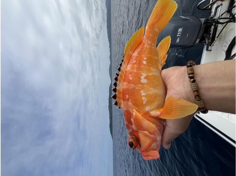 【沖縄・石垣島】半日船釣りコースの紹介画像