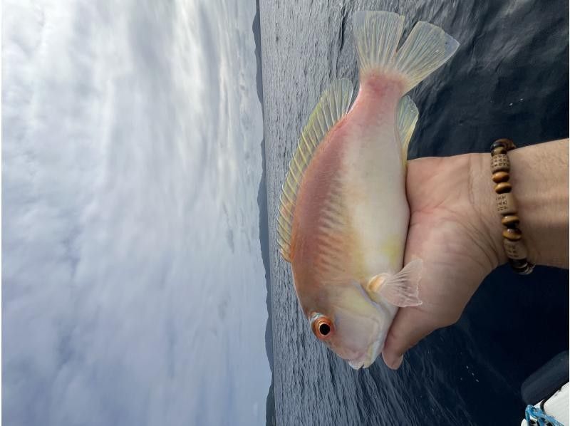 【沖縄・石垣島】半日船釣りコースの紹介画像