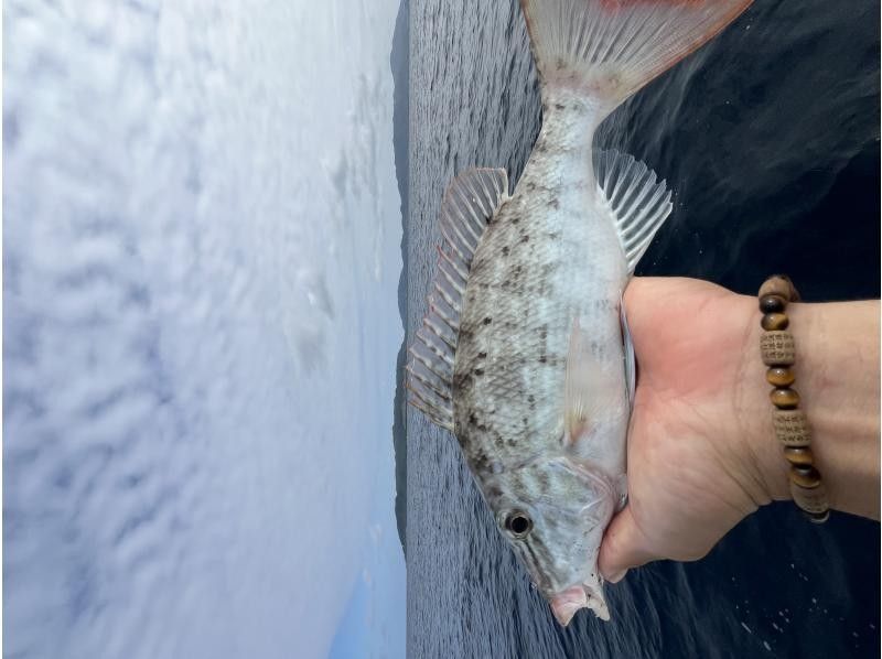 【沖縄・石垣島】半日船釣りコースの紹介画像