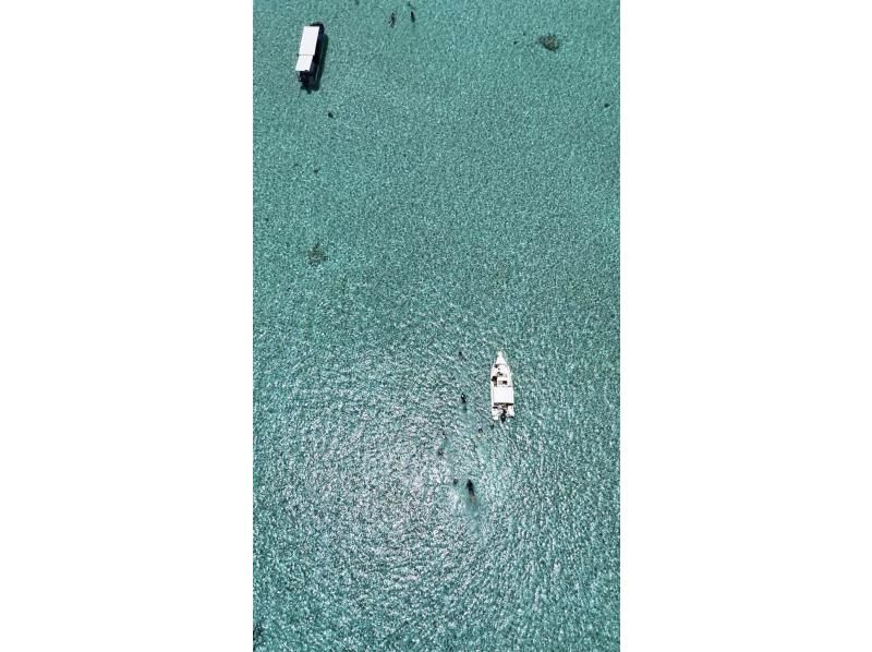 【宮古島/秘境】地元の漁師さん直伝の秘境ポイントへ！世界有数のサンゴ礁を巡るボートシュノーケル。3歳から参加OK＆高画質写真プレゼント！の紹介画像