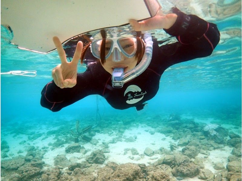 [鹿児島·奄美大島】讓我們去看看崇拜的海龜吧！浮潛體驗（海龜搜索課程）の紹介画像