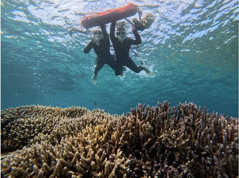 【沖縄・石垣島】少人数制初心者でも安心！幻の島上陸＆お魚珊瑚シュノーケルツアー（0歳～85歳）当日予約OK・送迎あり・ツアーデータプレゼントの紹介画像
