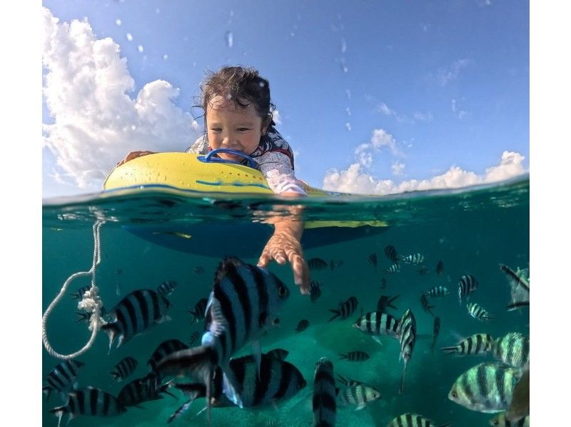 【沖縄・石垣島】少人数制初心者でも安心！幻の島上陸＆お魚珊瑚シュノーケルツアー（0歳～85歳）当日予約OK・送迎あり・ツアーデータプレゼントの紹介画像