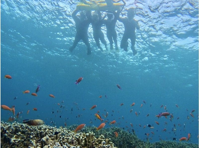 【沖縄・石垣島】少人数制初心者でも安心！幻の島上陸＆お魚珊瑚シュノーケルツアー（0歳～85歳）当日予約OK・送迎あり・ツアーデータプレゼントの紹介画像