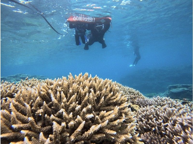 【沖縄・石垣島】少人数制初心者でも安心！幻の島上陸＆お魚珊瑚シュノーケルツアー（0歳～85歳）当日予約OK・送迎あり・ツアーデータプレゼントの紹介画像