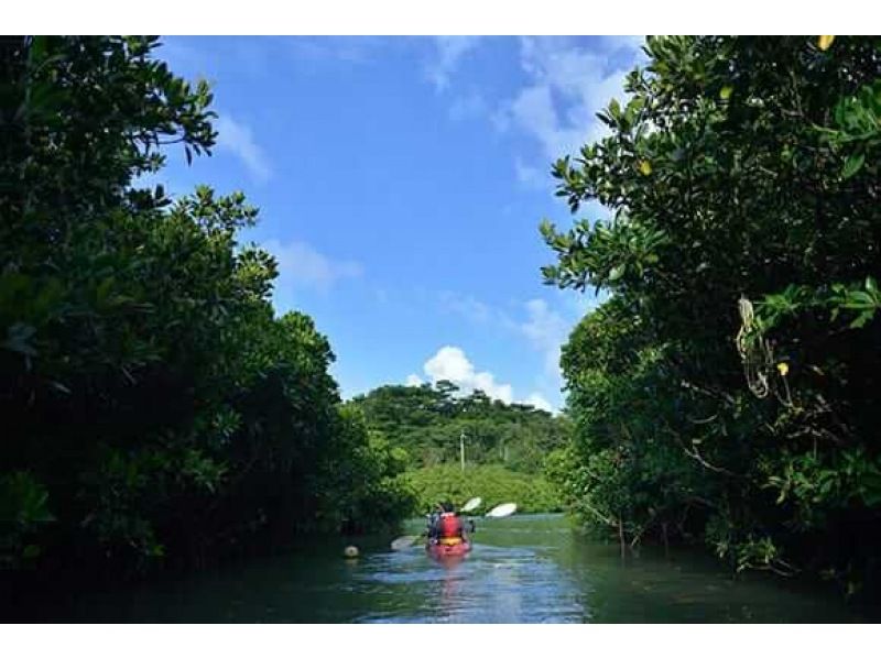 【沖縄北部・東村】マングローブカヌーツアー＜ショートコース＞の紹介画像