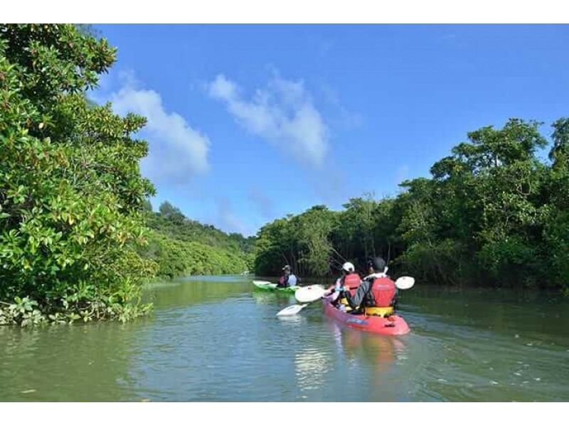【沖縄北部・東村】マングローブカヌーツアー＜ロングコース＞の紹介画像