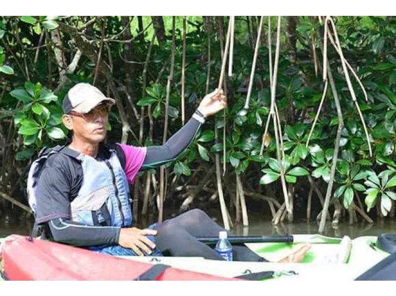 【沖縄北部・東村】マングローブカヌーツアー＜ロングコース＞の紹介画像