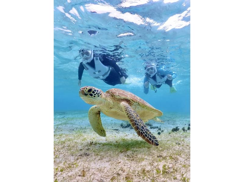 【宮古島｜ウミガメシュノーケル｜１組貸切】遭遇率100%継続中☆ドローン撮影無料プレゼント☆〜OPEN記念特典有り〜の紹介画像