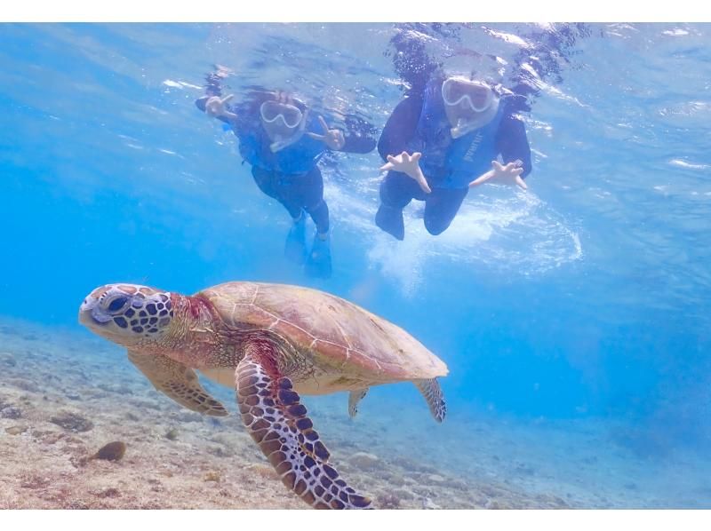 【宮古島｜ウミガメシュノーケル｜１組貸切】遭遇率100%継続中☆ドローン撮影無料プレゼント☆〜OPEN記念特典有り〜の紹介画像