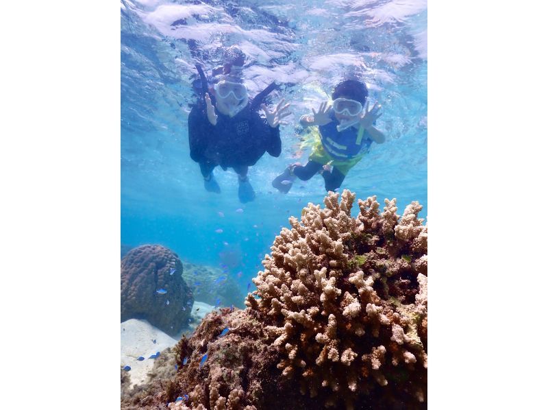 【宮古島｜ウミガメシュノーケル｜１組貸切】遭遇率100%継続中☆ドローン撮影無料プレゼント☆〜OPEN記念特典有り〜の紹介画像