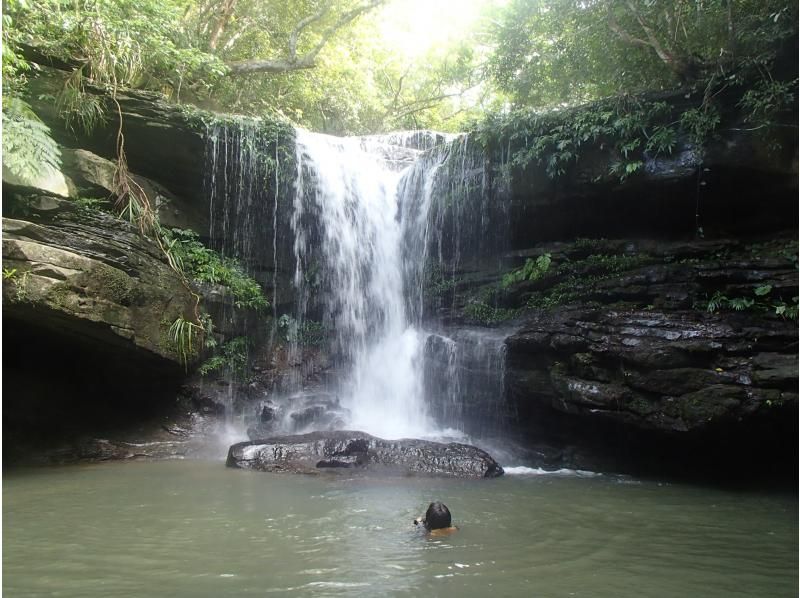 【沖縄・西表島】世界自然遺産の島【1日1組様限定】 B.カヌー体験クーラの滝つぼ＆沢歩き半日（午前）、軽食付きコースの紹介画像
