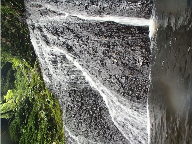 【竜神カヤック】茨城県北自然遺産、竜神渓谷の自然美とダイナミックな竜神バンジーを湖面から楽しむカヤック体験ツアー【初心者～・初期講習あり】の紹介画像