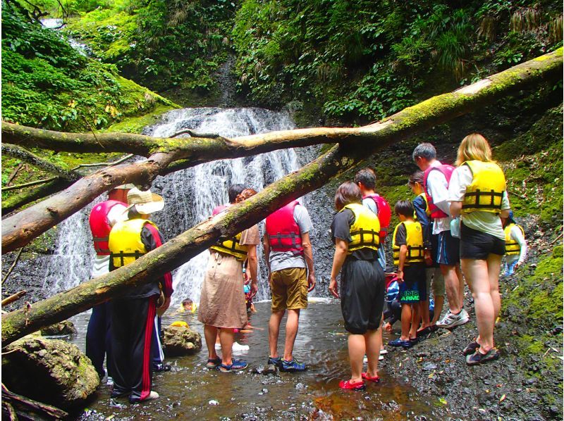 【竜神カヤック】茨城県北自然遺産、竜神渓谷の自然美とダイナミックな竜神バンジーを湖面から楽しむカヤック体験ツアー【初心者～・初期講習あり】の紹介画像