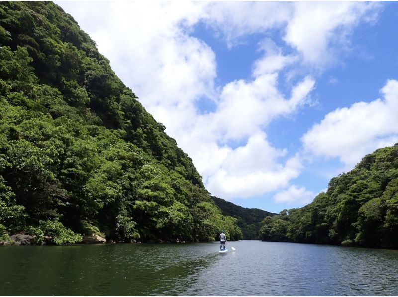 【  沖縄・西表島】1日SUP経験者向けツーリングSUP（昼食/シャワー付き）の紹介画像
