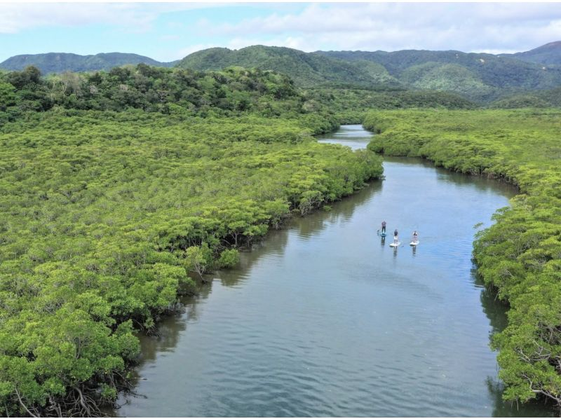 【  沖縄・西表島】1日マングローブSUP＋クーラ滝トレッキング（シャワー付き）の紹介画像