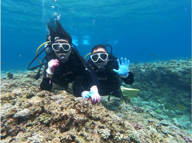 【沖縄・青の洞窟】インストラクター貸し切り！シュノーケリング＆体験ダイビングツアー〈カップル・ご夫婦・友達2名様限定！オプション代全て込み〉の紹介画像