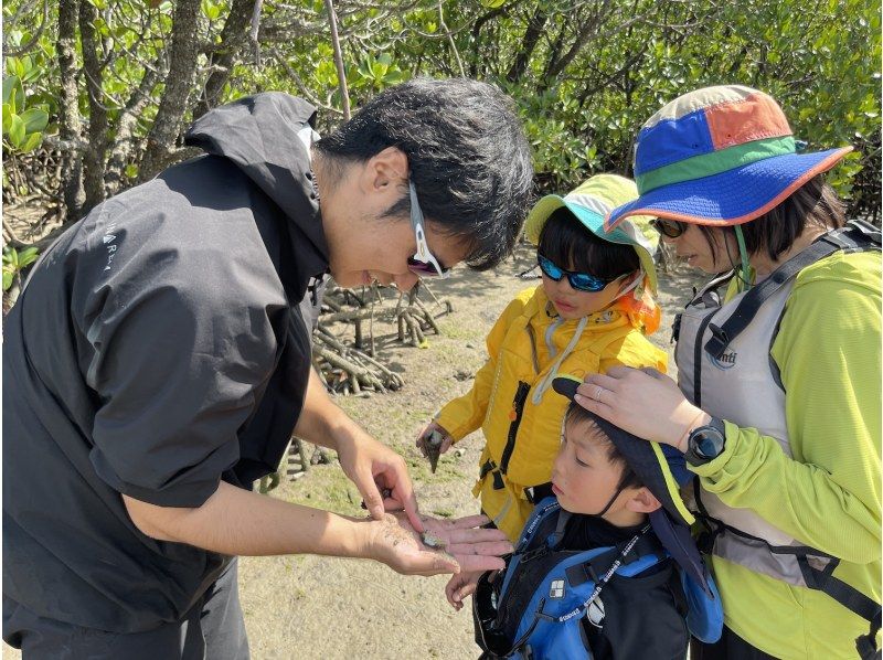 【沖縄・西表島】虫に詳しい「虫にぃにぃ」と行く昆虫＆生物観察のマニアックツアー！マングローブカヌー＆トレッキングで希少生物との出会いを提供の紹介画像