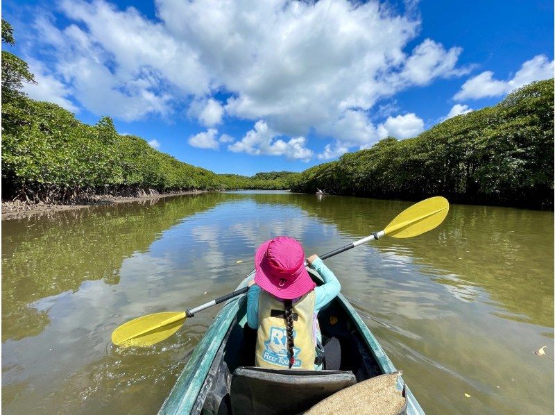 【沖縄・西表島】虫に詳しい「虫にぃにぃ」と行く昆虫＆生物観察のマニアックツアー！マングローブカヌー＆トレッキングで希少生物との出会いを提供の紹介画像