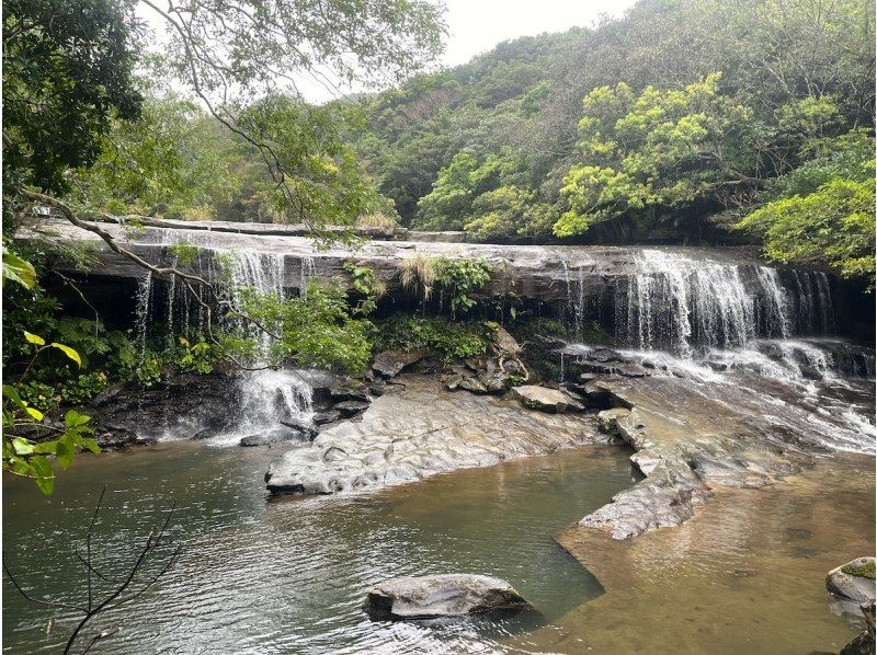 【沖縄・西表島】虫に詳しい「虫にぃにぃ」と行く昆虫＆生物観察のマニアックツアー！マングローブカヌー＆トレッキングで希少生物との出会いを提供の紹介画像