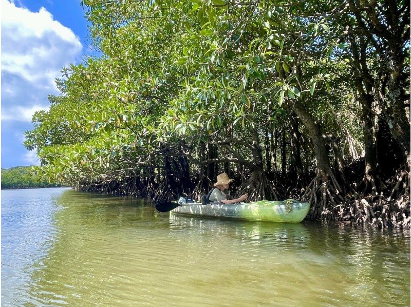 【沖縄・西表島】50歳以上限定カヌー＆トレッキング！落ち着いた雰囲気で楽しむ世界自然遺産ピナイサーラの滝・ネイチャーラグジュアリーツアーの紹介画像