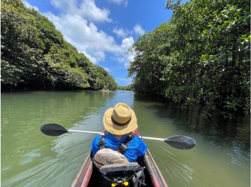 【沖縄・西表島】50歳以上限定カヌー＆トレッキング！落ち着いた雰囲気で楽しむ世界自然遺産ピナイサーラの滝・ネイチャーラグジュアリーツアーの紹介画像