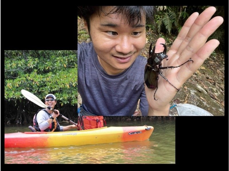 【西表島】世界自然遺産ピナイサーラの滝！圧巻の滝上・滝つぼの眺望＆マングローブでのカヌー体験も楽しむ！ファミリー・カップル・女性におすすめ！の紹介画像