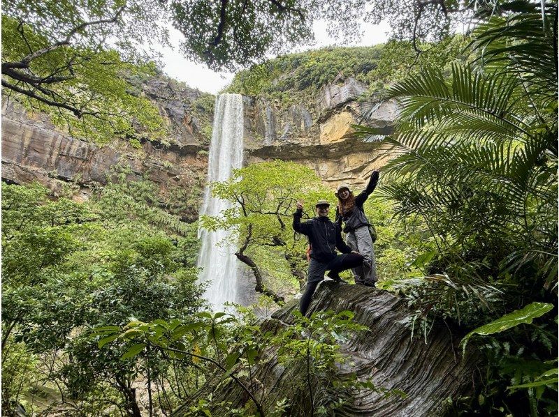 【西表島】世界自然遺産ピナイサーラの滝！圧巻の滝上・滝つぼの眺望＆マングローブでのカヌー体験も楽しむ！ファミリー・カップル・女性におすすめ！の紹介画像