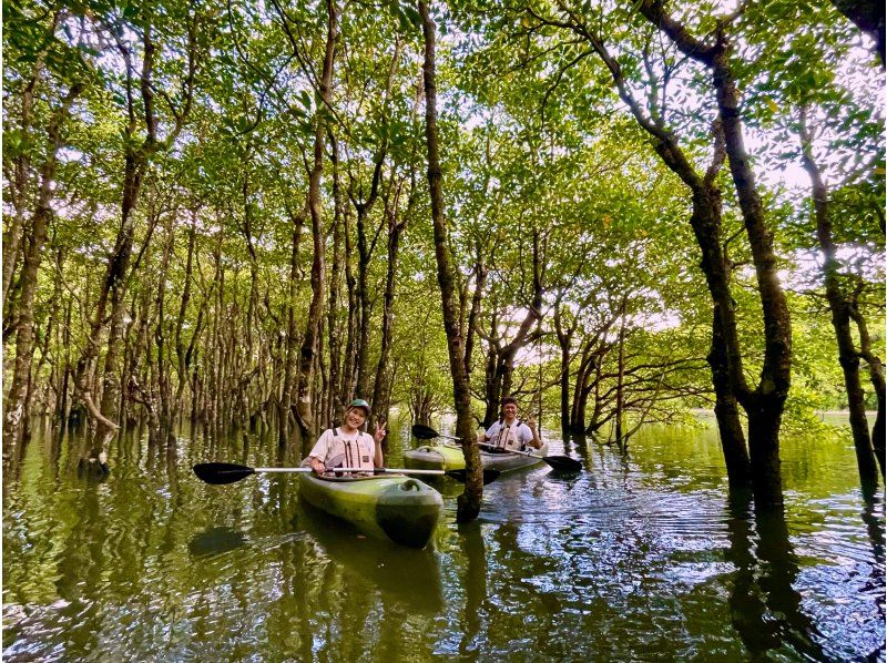 【西表島】世界自然遺産ピナイサーラの滝！圧巻の滝上・滝つぼの眺望＆マングローブでのカヌー体験も楽しむ！ファミリー・カップル・女性におすすめ！の紹介画像