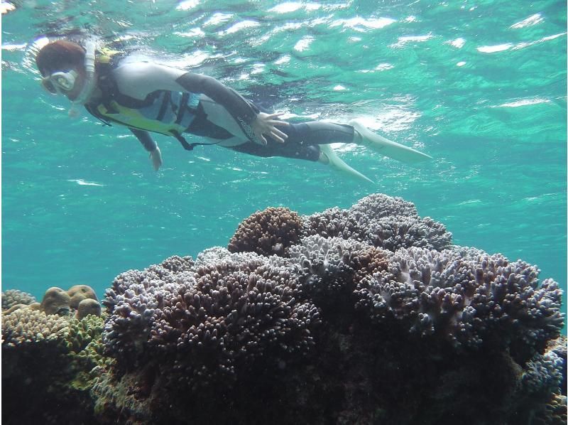 【4月～6月那覇三重城港発】ちょうどイイ季節！ナガンヌ島上陸フリープラン！の紹介画像