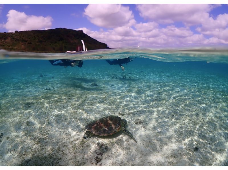 【沖縄・宮古島】学割！学生限定プランでお得に最高の思い出を「ウミガメシュノーケルフォトツアー」遭遇率100%継続中（当日予約・雨OK）の紹介画像