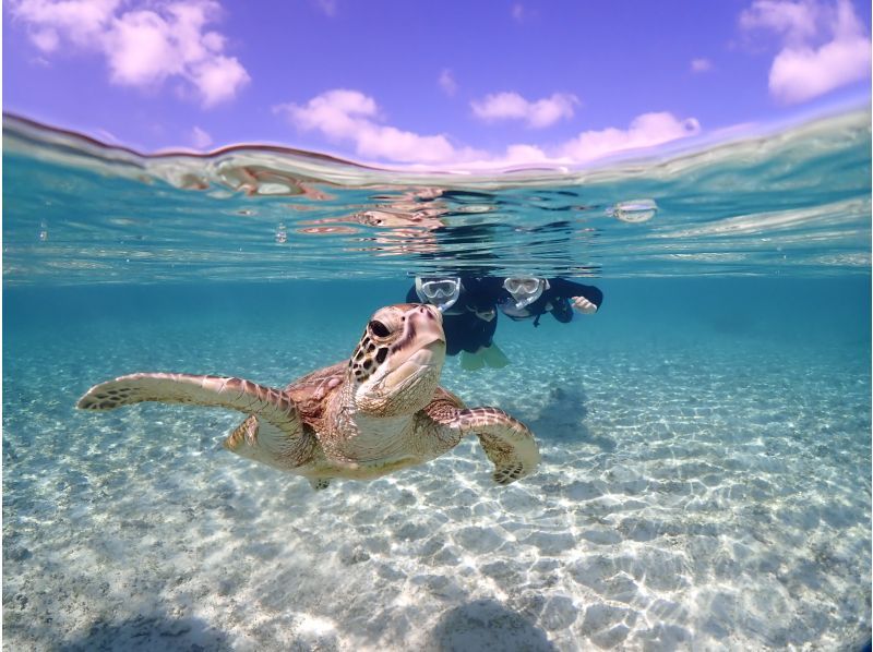 【沖縄・宮古島】学割！学生限定プランでお得に最高の思い出を「ウミガメシュノーケルフォトツアー」遭遇率100%継続中（当日予約・雨OK）の紹介画像