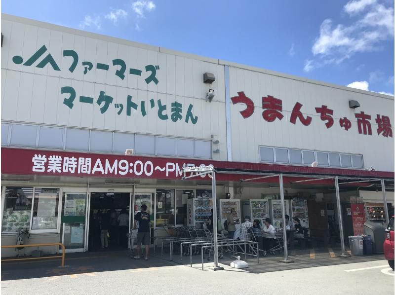 2026年4月～2026年9月【沖縄本島】那覇午前発　世界遺産　斎場御嶽へご案内　南部観光半日バスツアーの紹介画像