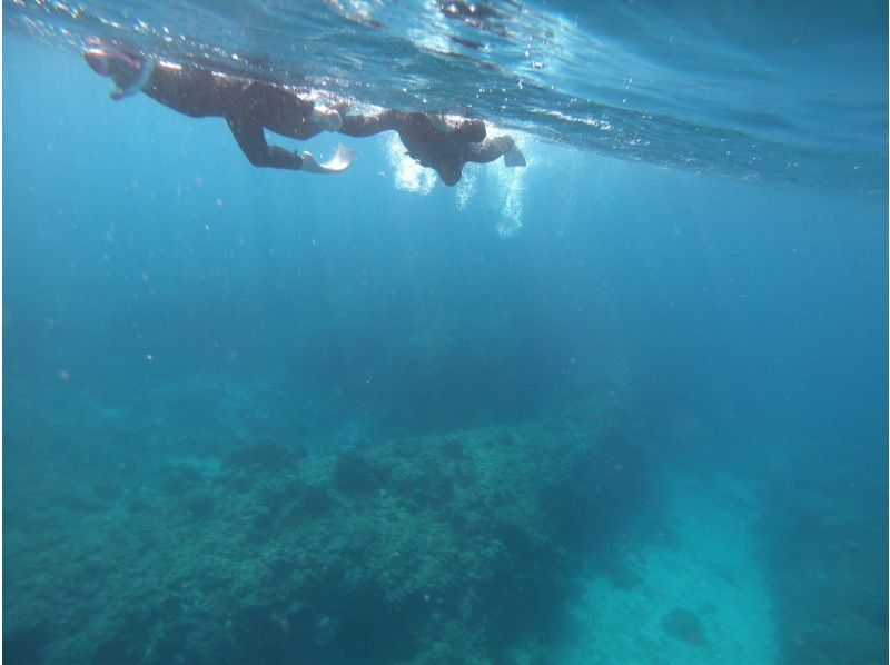 【沖縄・本部】★わくわくドキドキ　ボートシュノーケル＆マリンパック3セット！！ 初めてでも安心、インストラクターと沖縄の海を満喫の紹介画像