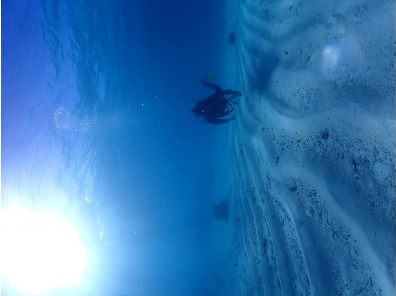 【沖縄県・石垣島市街地発】一日一便  ２，５ｈドリフトシュノーケリングコースの紹介画像