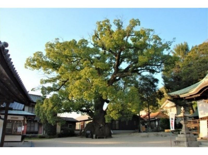 三原きつねの稲荷参り・開運クルーズの紹介画像