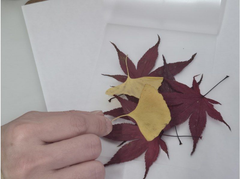 【秋田県・横手市】思い出がかたちになる〜自然の素材でラミアート製作体験の紹介画像