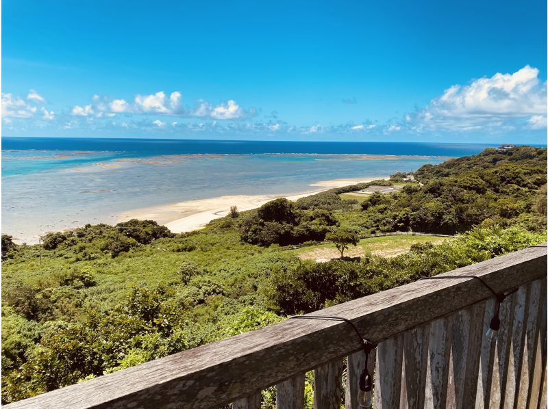 年齢制限なし☆南城市周遊☆グラスボートで海中散策＆【やぶさち】タコライス☆ウミガメ遭遇率驚異の60％！新原ビーチ沖の手つかずの自然を満喫！の紹介画像