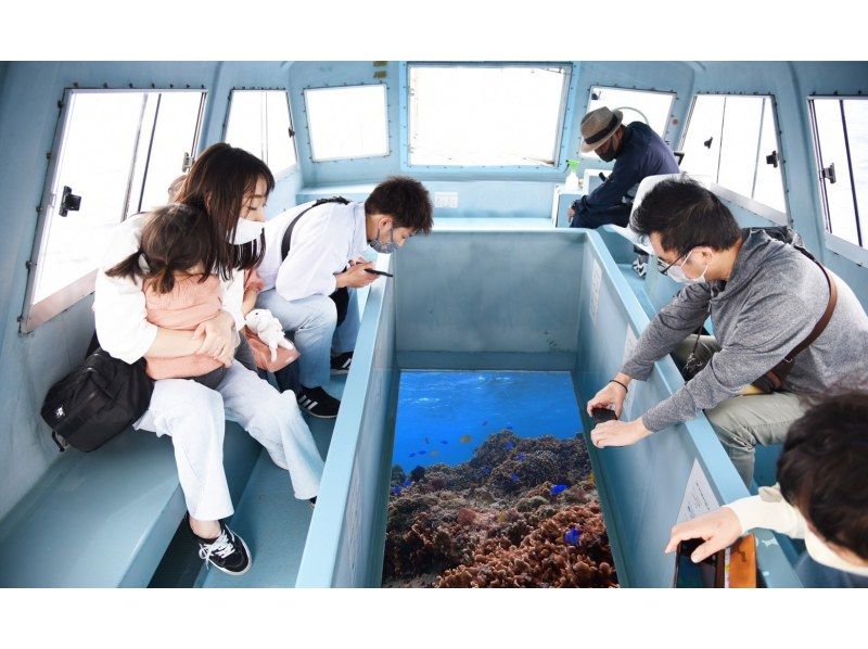 年齢制限なし☆南城市周遊☆グラスボートで海中散策＆【やぶさち】タコライス☆ウミガメ遭遇率驚異の60％！新原ビーチ沖の手つかずの自然を満喫！の紹介画像