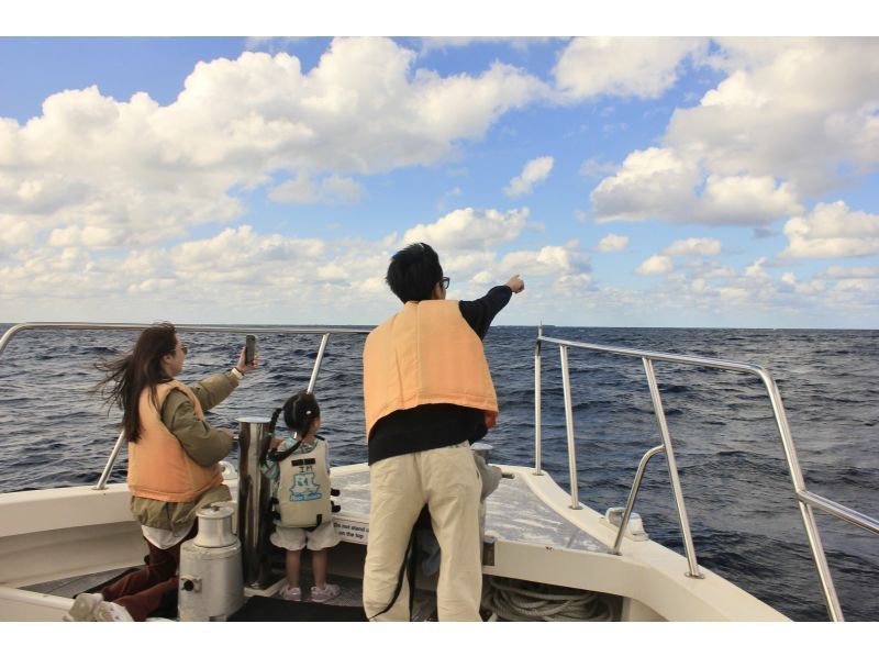 【沖縄・北谷発・半日】プライベートホエールウォッチングツアー｜大型クルーザーで快適！ 20名まで乗船可 ☆社員旅行・卒業旅行に最適☆の紹介画像