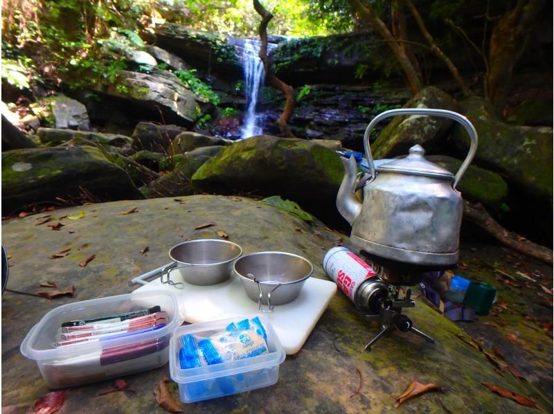 【沖縄・西表島】世界自然遺産の島【1日1組様限定】 早朝カヌー体験クーラ川、サガリバナお花見コースの紹介画像