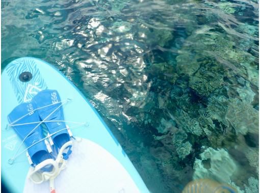 行程介紹・專屬工作人員包場方案 ★ 沖繩 SUP 體驗【近美麗海水族館】【含照片拍攝】 ★ 提供中文服務,中文工作人員親切接待 行程介紹・專屬工作人員包場方案 ★ 沖繩 SUP 體驗【近美麗海水族館】【含照片拍攝】 ★ 提供中文服務,中文工作人員親切接待