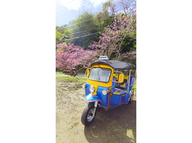 【沖縄・本部町】海と風を感じるトゥクトゥク体験｜3時間〜24時間レンタル・普通免許(AT限定可)OK・美ら海水族館近く！の紹介画像