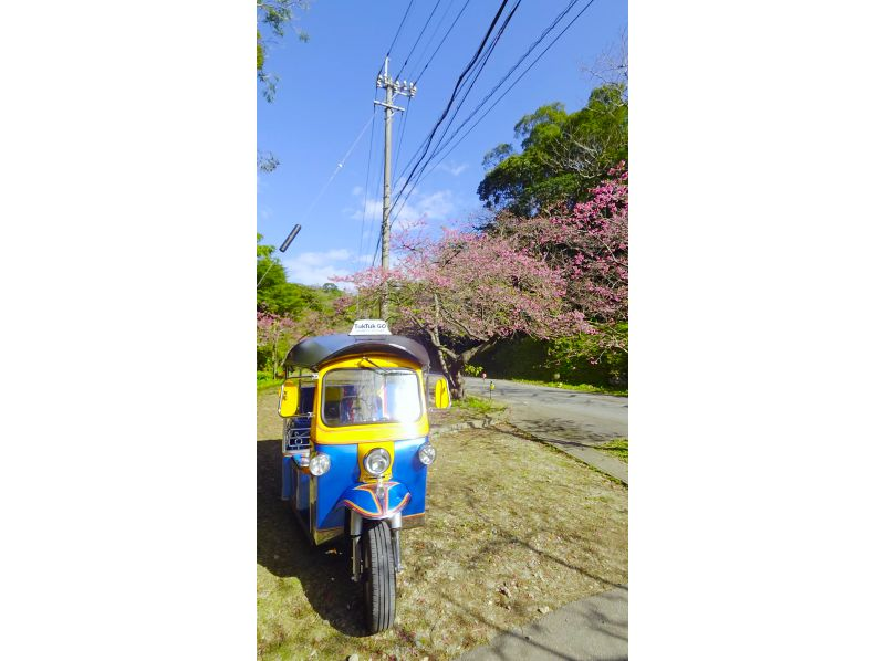 【沖縄・本部町】海と風を感じるトゥクトゥク体験｜3時間〜24時間レンタル・普通免許(AT限定可)OK・美ら海水族館近く！の紹介画像