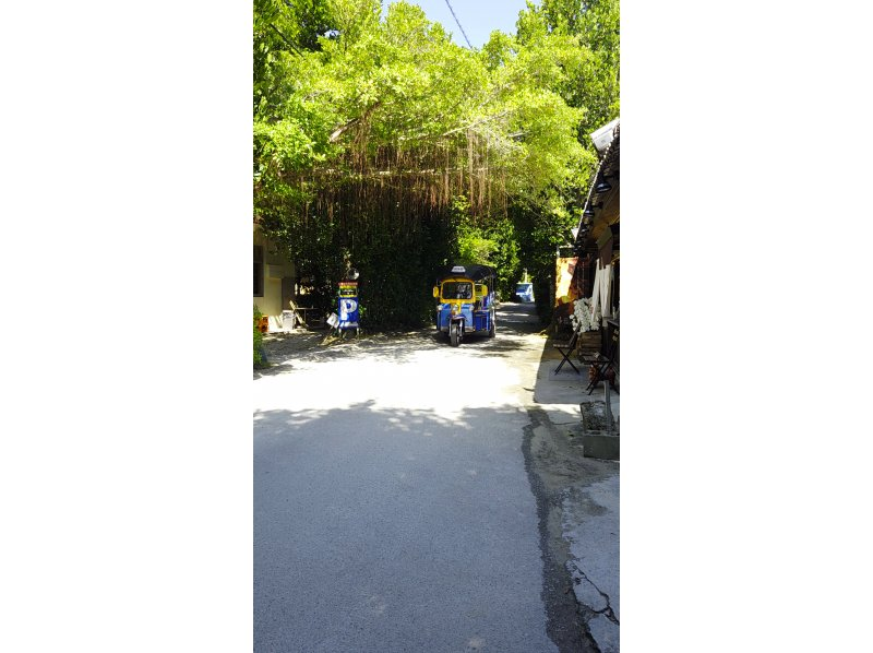 【沖縄・本部町】海と風を感じるトゥクトゥク体験｜3時間〜24時間レンタル・普通免許(AT限定可)OK・美ら海水族館近く！の紹介画像